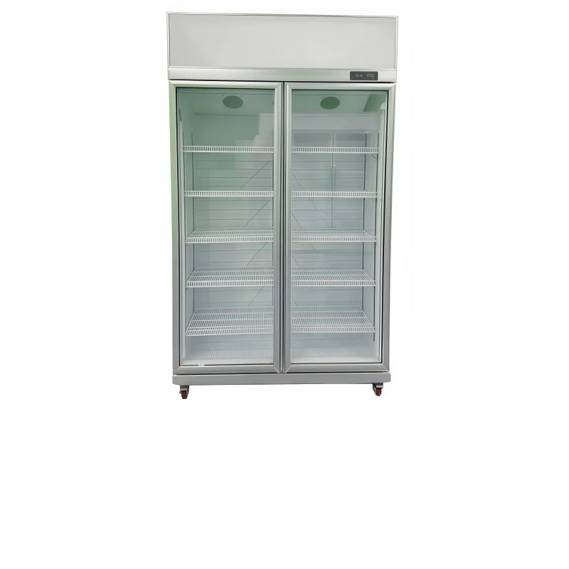 Upright display chiller-LS